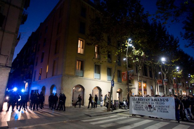 BGB_amadeu BGB_amadeu